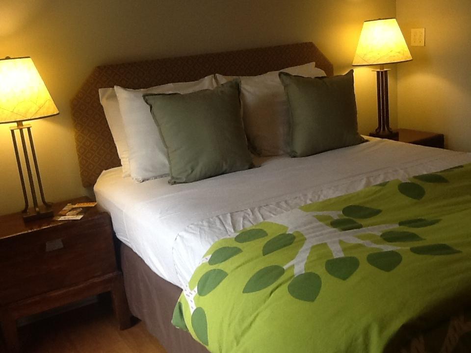 Zenyard Guest House Phoenix Room photo